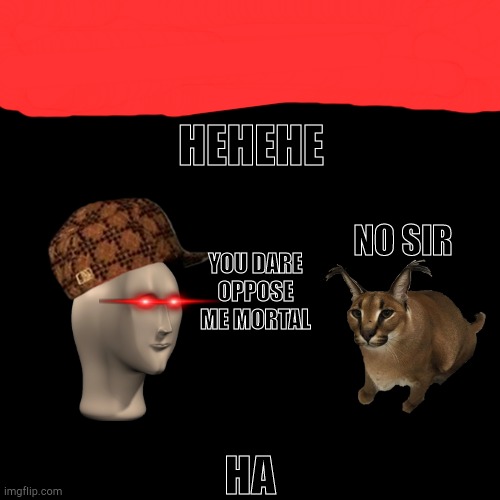 They have equal power levels in my opinion | HEHEHE; NO SIR; YOU DARE OPPOSE ME MORTAL; HA | image tagged in memes,blank transparent square | made w/ Imgflip meme maker