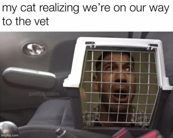 image tagged in memes | made w/ Imgflip meme maker