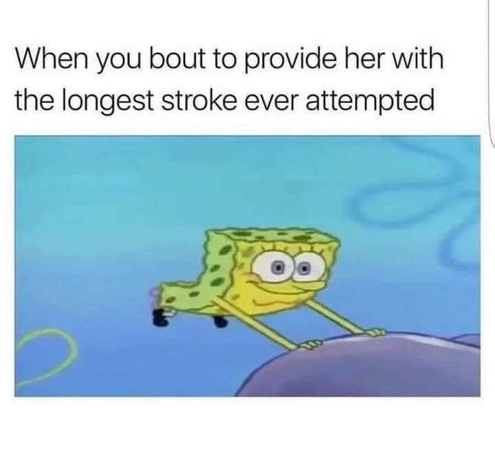 Longest stroke ever Blank Meme Template