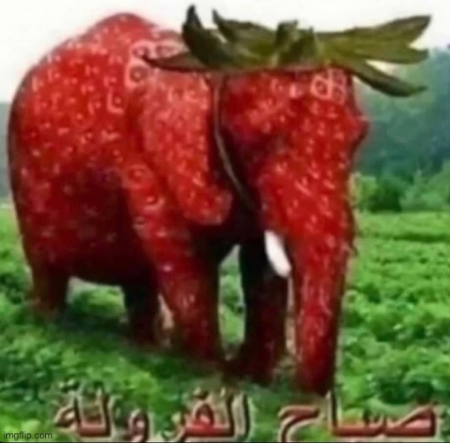 i want to fuck this elephant | image tagged in zoophile,zoophile pride | made w/ Imgflip meme maker