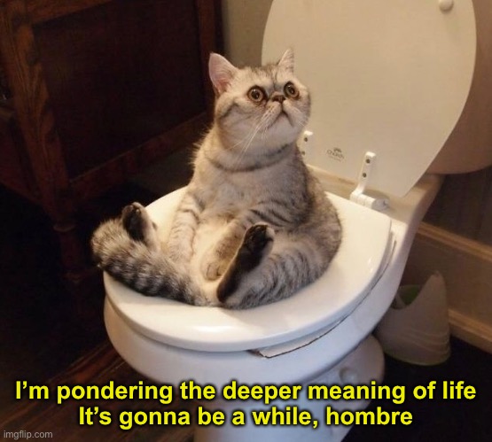 I’m pondering the deeper meaning of life
It’s gonna be a while, hombre | made w/ Imgflip meme maker