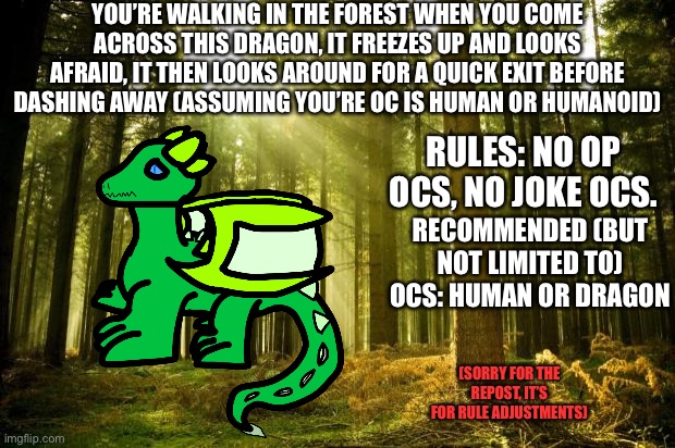 sunlit forest | YOU’RE WALKING IN THE FOREST WHEN YOU COME ACROSS THIS DRAGON, IT FREEZES UP AND LOOKS AFRAID, IT THEN LOOKS AROUND FOR A QUICK EXIT BEFORE DASHING AWAY (ASSUMING YOU’RE OC IS HUMAN OR HUMANOID); RULES: NO OP OCS, NO JOKE OCS. RECOMMENDED (BUT NOT LIMITED TO) OCS: HUMAN OR DRAGON; (SORRY FOR THE REPOST, IT’S FOR RULE ADJUSTMENTS) | image tagged in sunlit forest | made w/ Imgflip meme maker