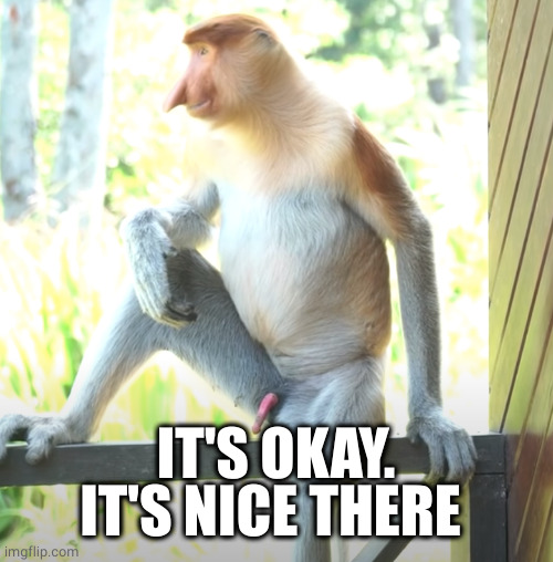 Good day | IT'S OKAY. IT'S NICE THERE | image tagged in good day | made w/ Imgflip meme maker