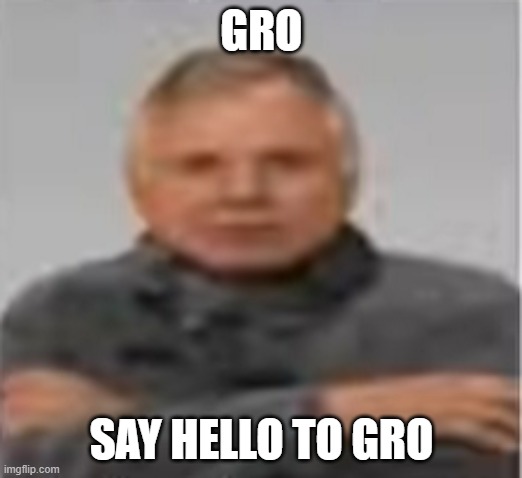 say hello to gro | GRO; SAY HELLO TO GRO | image tagged in gro,memes | made w/ Imgflip meme maker