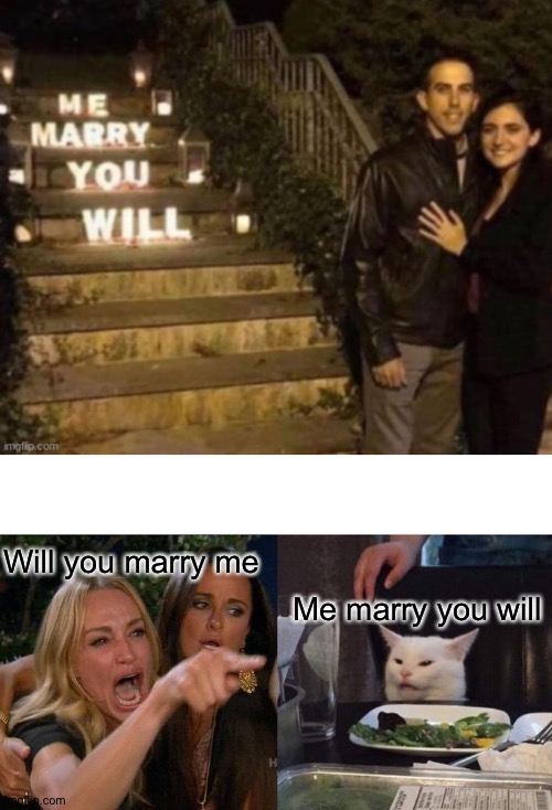 Yes, | Will you marry me; Me marry you will | image tagged in memes,woman yelling at cat | made w/ Imgflip meme maker