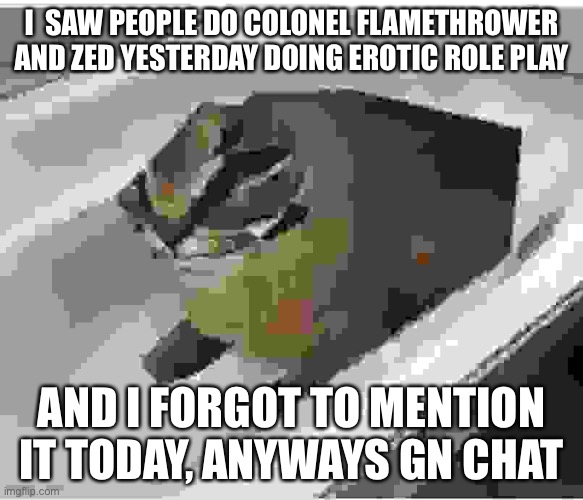 gn | I  SAW PEOPLE DO COLONEL FLAMETHROWER AND ZED YESTERDAY DOING EROTIC ROLE PLAY; AND I FORGOT TO MENTION IT TODAY, ANYWAYS GN CHAT | image tagged in low quality floppa | made w/ Imgflip meme maker