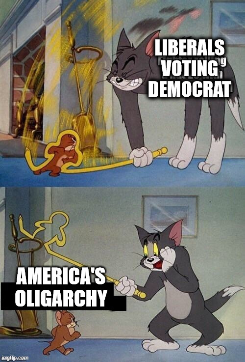 LIBERALS VOTING DEMOCRAT; AMERICA'S OLIGARCHY | image tagged in tom and jerry,oligarchy,democrats,liberals,america | made w/ Imgflip meme maker