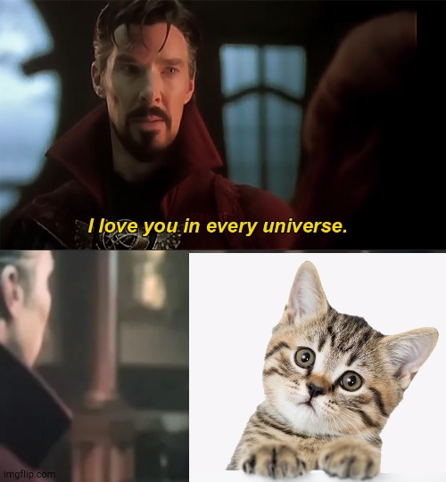 I luv u 2 hooman | image tagged in passed away,gone cat | made w/ Imgflip meme maker