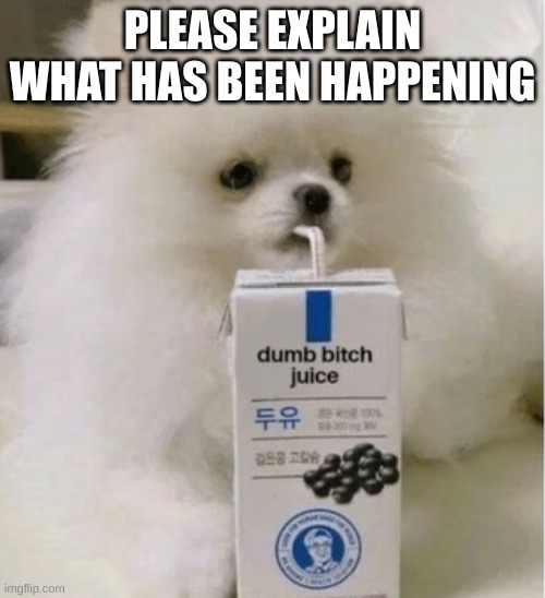 dumb bitch juice | PLEASE EXPLAIN WHAT HAS BEEN HAPPENING | image tagged in dumb bitch juice | made w/ Imgflip meme maker