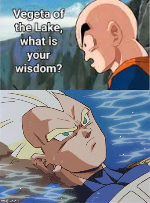 Vegeta of the lake what is your wisdom Blank Meme Template