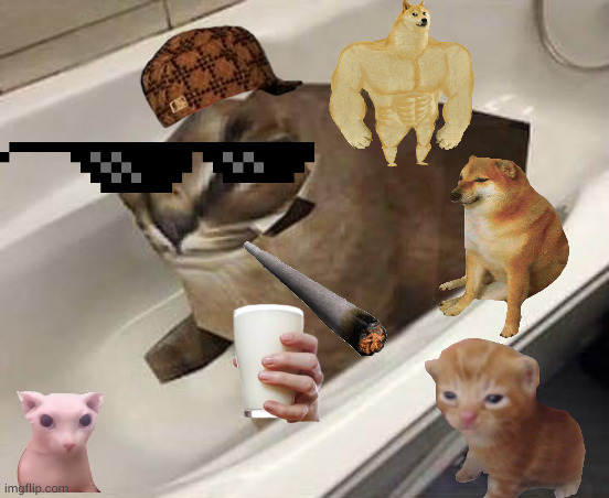 floppa goes to the store and buys milk with his family | image tagged in floppa tub | made w/ Imgflip meme maker