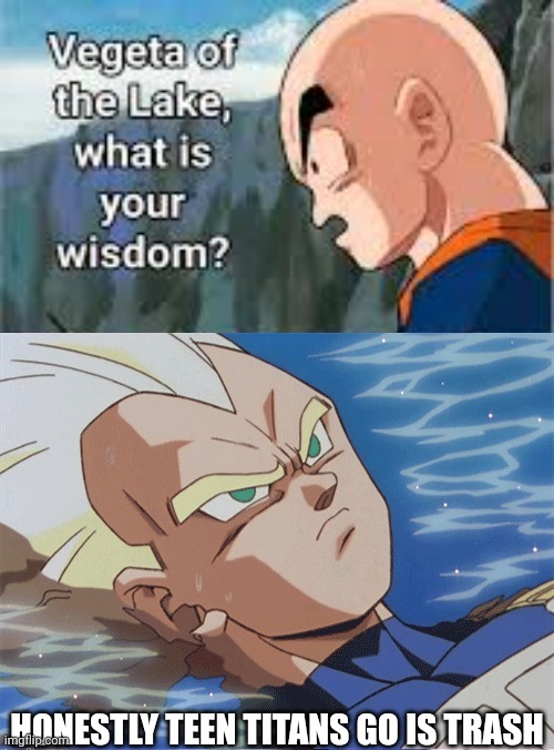 Vegeta of the lake what is your wisdom | HONESTLY TEEN TITANS GO IS TRASH | image tagged in vegeta of the lake what is your wisdom | made w/ Imgflip meme maker