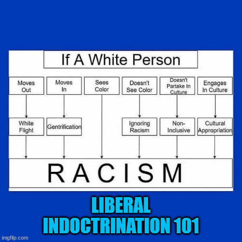 Only white people can be racist... | LIBERAL INDOCTRINATION 101 | image tagged in liberal logic | made w/ Imgflip meme maker