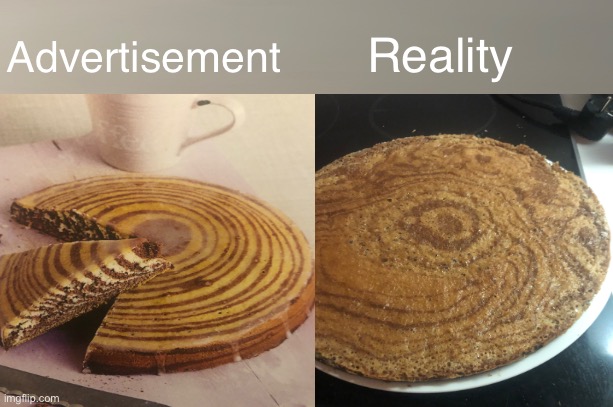 Advertisement vs Reality | Reality; Advertisement | image tagged in advertisement,reality,sad,fail | made w/ Imgflip meme maker
