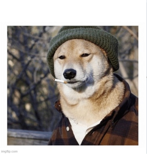 Cigarette doge | image tagged in cigarette doge | made w/ Imgflip meme maker