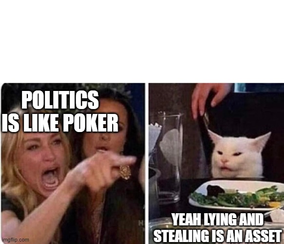 Lady screams at cat | POLITICS IS LIKE POKER; YEAH LYING AND STEALING IS AN ASSET | image tagged in lady screams at cat | made w/ Imgflip meme maker