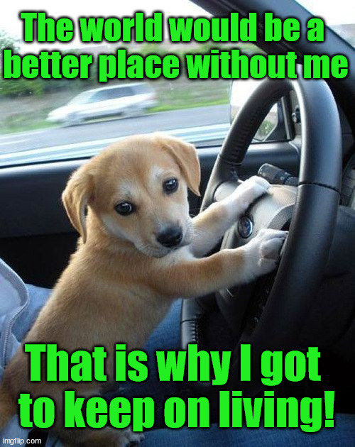 Better place | The world would be a 
better place without me; That is why I got 
to keep on living! | image tagged in cute dog,who_am_i | made w/ Imgflip meme maker