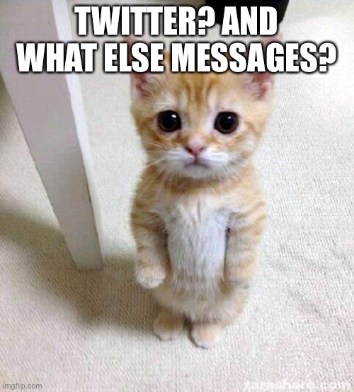 Cute Cat | TWITTER? AND WHAT ELSE MESSAGES? | image tagged in memes,cute cat | made w/ Imgflip meme maker