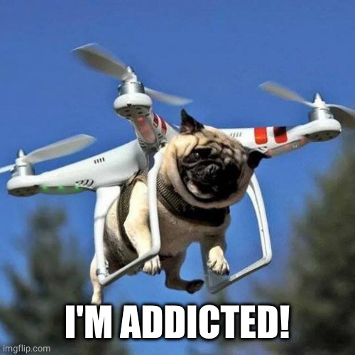 Flying Pug | I'M ADDICTED! | image tagged in flying pug | made w/ Imgflip meme maker