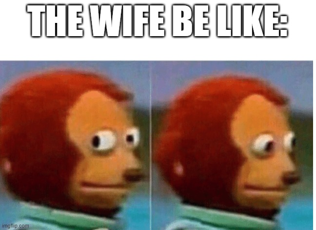 feel guilty | THE WIFE BE LIKE: | image tagged in feel guilty | made w/ Imgflip meme maker
