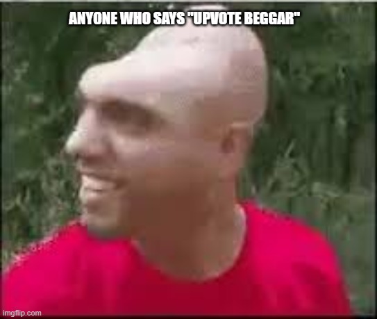 Dishweed | ANYONE WHO SAYS "UPVOTE BEGGAR" | image tagged in dishweed | made w/ Imgflip meme maker
