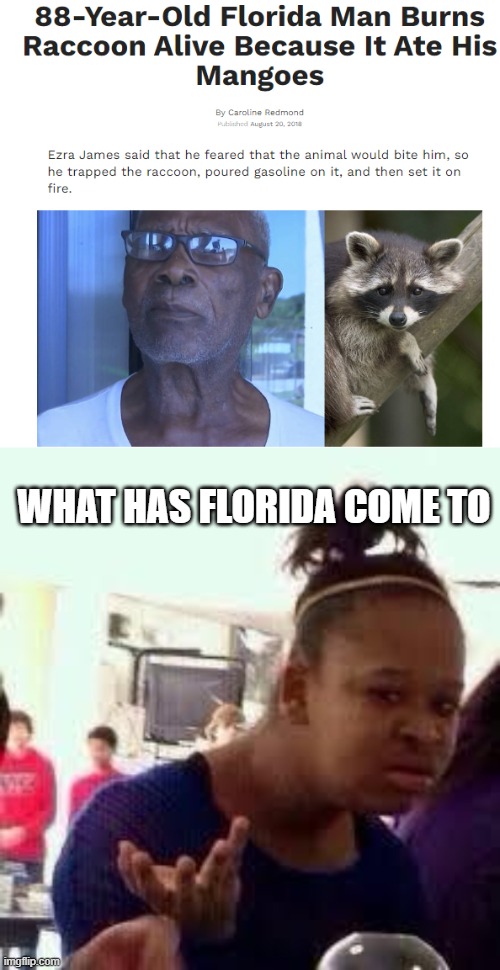 WHAT HAS FLORIDA COME TO | image tagged in black girl wat,florida man,excuse me what the heck | made w/ Imgflip meme maker