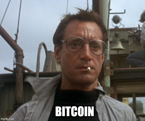 Chief Brody | BITCOIN | image tagged in chief brody | made w/ Imgflip meme maker