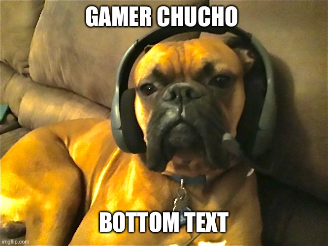 Chucho | GAMER CHUCHO; BOTTOM TEXT | image tagged in gamer | made w/ Imgflip meme maker