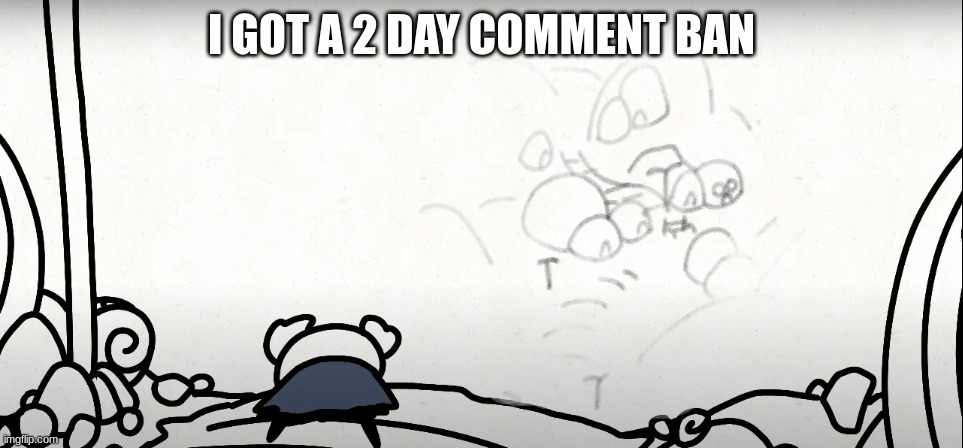 *cries* | I GOT A 2 DAY COMMENT BAN | image tagged in cries | made w/ Imgflip meme maker