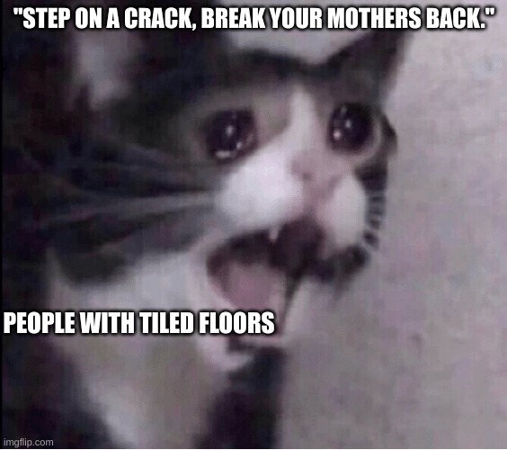 Disturbed Cat | "STEP ON A CRACK, BREAK YOUR MOTHERS BACK."; PEOPLE WITH TILED FLOORS | image tagged in disturbed cat | made w/ Imgflip meme maker