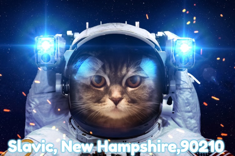 Space Cat 2 | Slavic, New Hampshire,90210 | image tagged in space cat 2,90210,slavic,new hampshire | made w/ Imgflip meme maker