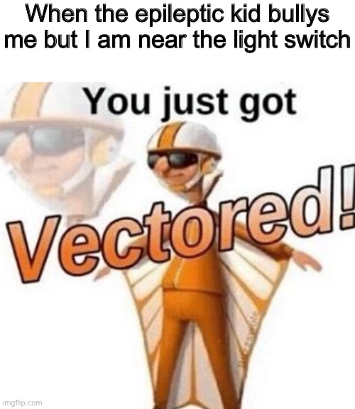You just got vectored | When the epileptic kid bullys me but I am near the light switch | image tagged in you just got vectored | made w/ Imgflip meme maker