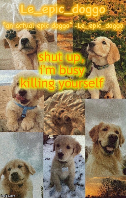 Doggo temp by doggo. Wait what that’s confusing | shut up, i'm busy killing yourself | image tagged in doggo temp by doggo wait what that s confusing | made w/ Imgflip meme maker