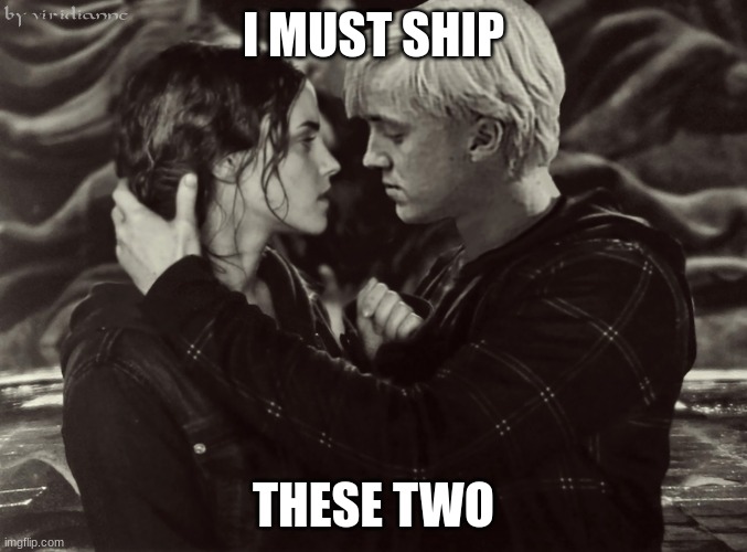Dramione Meme | I MUST SHIP; THESE TWO | image tagged in dramione meme | made w/ Imgflip meme maker