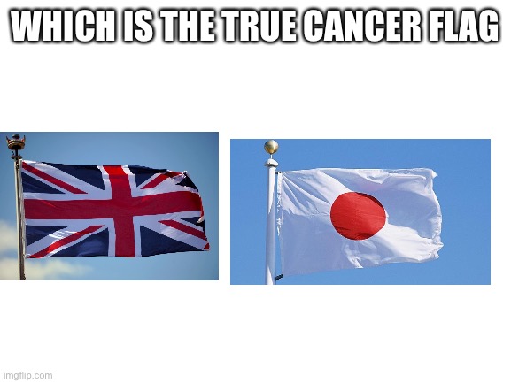 Cancer or bald head | WHICH IS THE TRUE CANCER FLAG | image tagged in blank white template | made w/ Imgflip meme maker