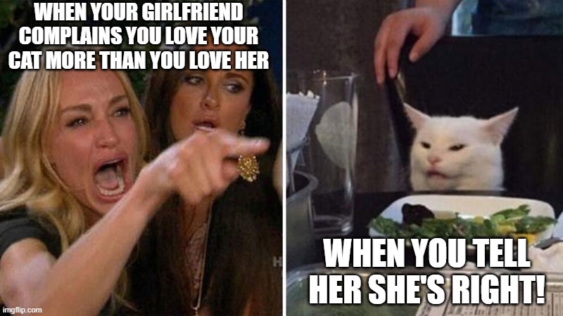 Woman yelling at cat | WHEN YOUR GIRLFRIEND COMPLAINS YOU LOVE YOUR CAT MORE THAN YOU LOVE HER; WHEN YOU TELL HER SHE'S RIGHT! | image tagged in woman yelling at cat,cats,women,pets,animals,humor | made w/ Imgflip meme maker