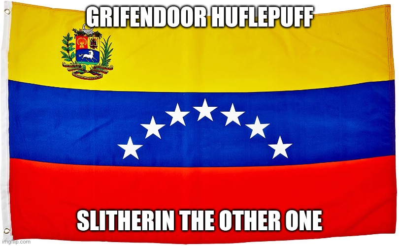 Venezuelan house | GRIFENDOOR HUFLEPUFF; SLITHERIN THE OTHER ONE | image tagged in venezuela,harry potter | made w/ Imgflip meme maker