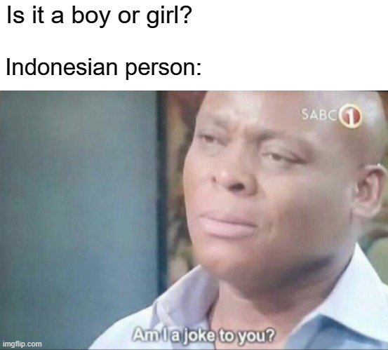 I know, as a teenager was cool | Is it a boy or girl? Indonesian person: | image tagged in am i a joke to you,memes | made w/ Imgflip meme maker