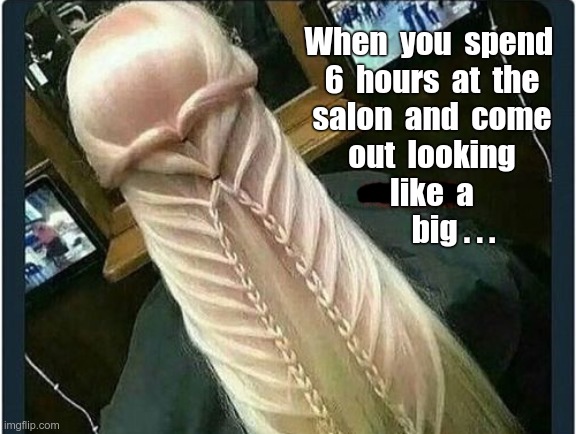 Tip the Beautician! | When  you  spend 
6  hours  at  the
salon  and  come
out  looking
like  a
       big . . . | image tagged in hairstyle,rick75230 | made w/ Imgflip meme maker
