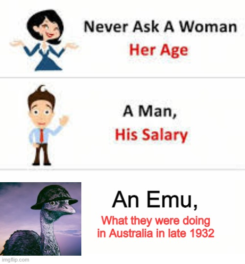 Never ask a woman her age | An Emu, What they were doing in Australia in late 1932 | image tagged in history,memes | made w/ Imgflip meme maker