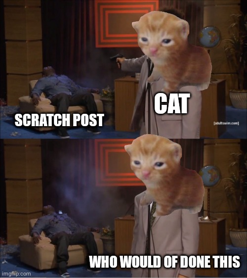 Cat vs scratch post | CAT; SCRATCH POST; WHO WOULD OF DONE THIS | image tagged in memes,who killed hannibal,cat | made w/ Imgflip meme maker