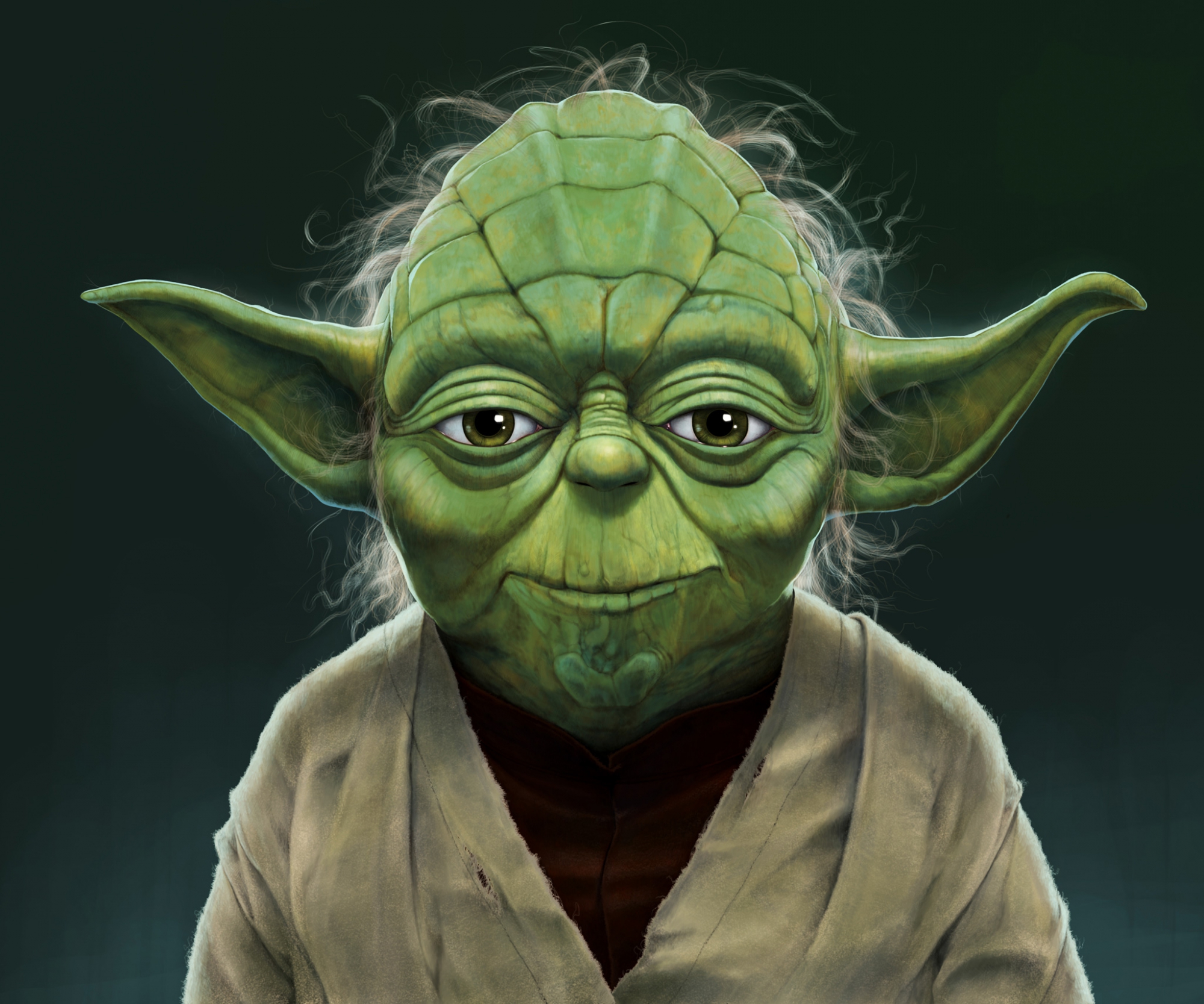 Yoda Portrait Blank Meme Template