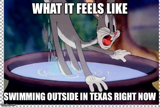  WHAT IT FEELS LIKE; SWIMMING OUTSIDE IN TEXAS RIGHT NOW | image tagged in bugs bunny,summer | made w/ Imgflip meme maker
