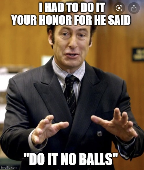 Your Honor, | I HAD TO DO IT YOUR HONOR FOR HE SAID; "DO IT NO BALLS" | image tagged in your honor | made w/ Imgflip meme maker