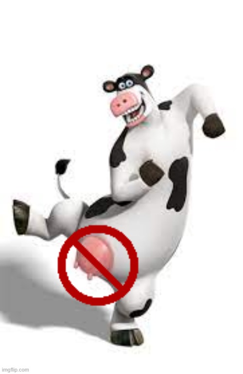No Udders on This  Cow cause it's a Male | image tagged in male cow | made w/ Imgflip meme maker