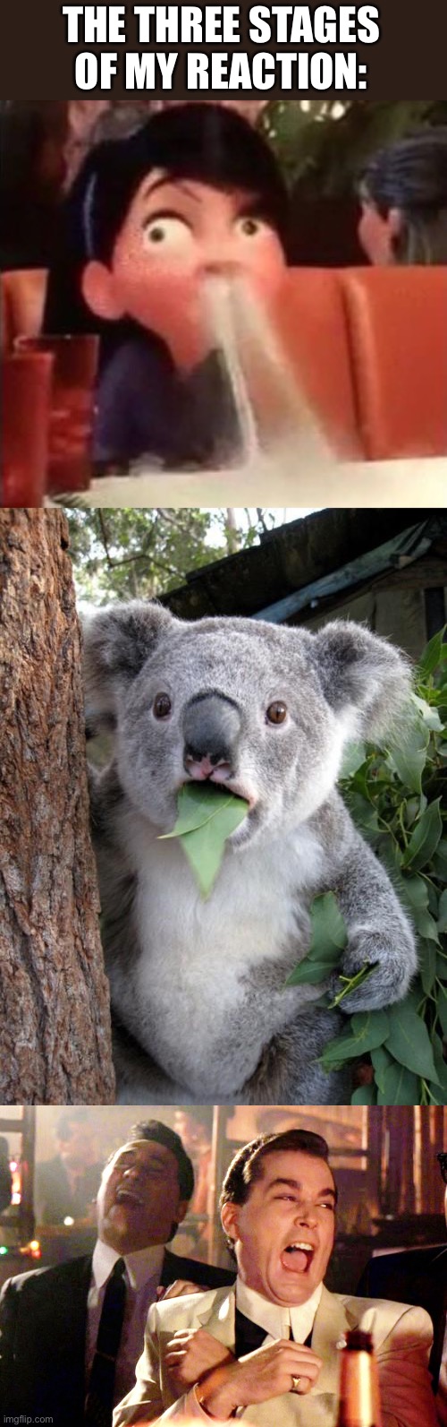 THE THREE STAGES OF MY REACTION: | image tagged in violet spitting water out of her nose,memes,surprised koala,good fellas hilarious | made w/ Imgflip meme maker