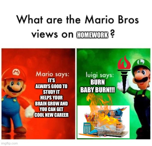 Le Homework | HOMEWORK; IT’S ALWAYS GOOD TO STUDY IT HELPS YOUR BRAIN GROW AND YOU CAN GET COOL NEW CAREER; BURN BABY BURN!!! | image tagged in mario says luigi says | made w/ Imgflip meme maker