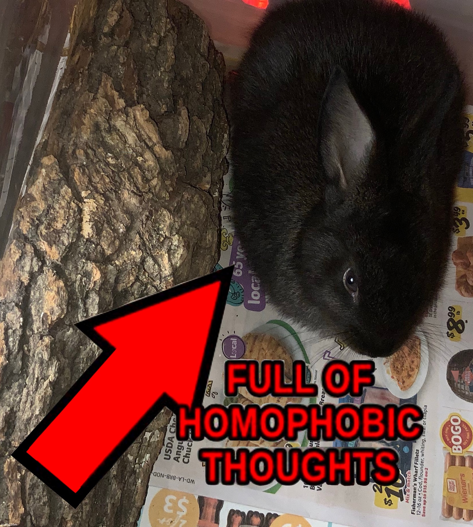 i love my rabbit thing | made w/ Imgflip meme maker