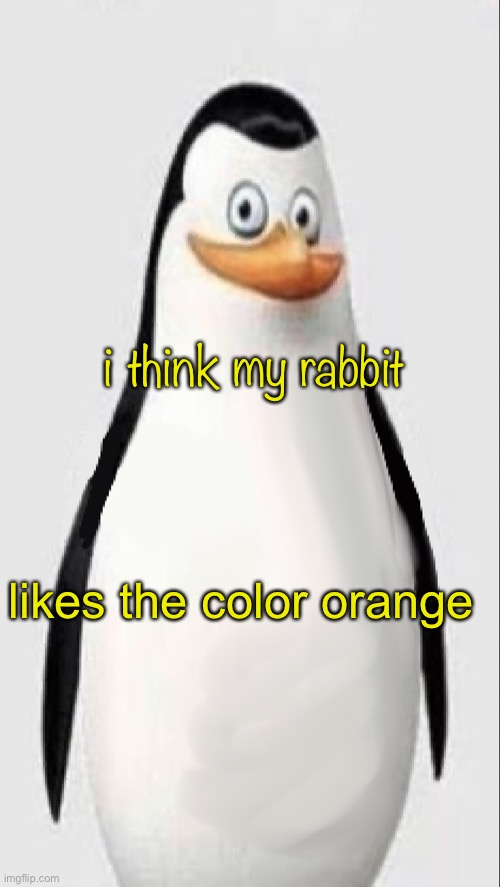 Homophobia Caption | i think my rabbit; likes the color orange | image tagged in homophobia caption | made w/ Imgflip meme maker