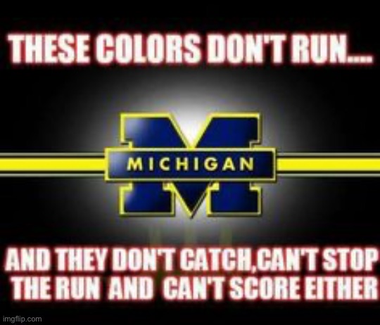 Michiganophobia | image tagged in michigan these colors don t run,michiganophobia | made w/ Imgflip meme maker